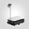 D15 Intelligent Delivery Robot 