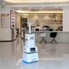 C20 Intelligent Air Purification Robot