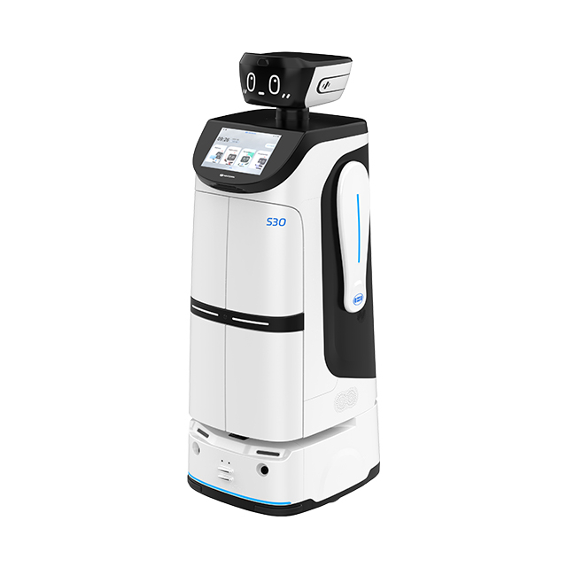 Intelligent Service Robot S30